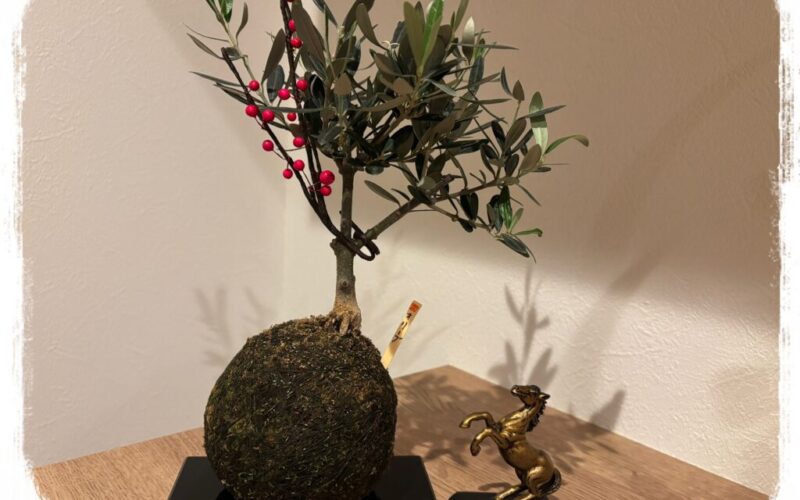 大切な「力」を育てるピアノ教室